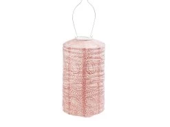 Lumiz Paisley Cylinder 18 Solar Lampion -Buitentuin 594573 594573 images main lumiz paisley cylinder 18 solar lampion roze ecommerce
