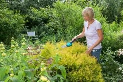 GARDENA Accu Gras- En Buxusschaar Set Accucut Li -Buitentuin gardena accu gras en buxusschaar set accucut li 1619704816 l