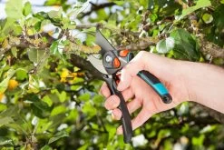 GARDENA Comfort Snoeischaar Instelbaar -Buitentuin gardena comfort snoeischaar instelbaar 1500x1000 640af7de7d2aa l