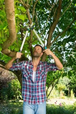 GARDENA Takkenzaag EasyCut 680 B (12003 + 8754 E12) -Buitentuin gardena takkenschaar easycut 680 b 8754 1000x1500 640af7ec497bd l