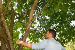 GARDENA Takkenschaar TeleCut Long 650-900 B -Buitentuin gardena telecut long 650 900b 1500x1001 640af7f15744f l