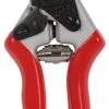 Talen Tools Professionele Snoeischaar Rood 1 Talen Tools Professionele Snoeischaar Rood -Buitentuin talen tools professionele snoeischaar rood 308x1000 61d46a4d9bf0c l